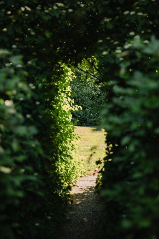 magnetiseur zwolle AKF-portret-25-17